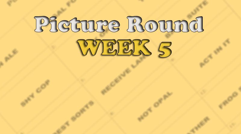 picture round week 5 anagram